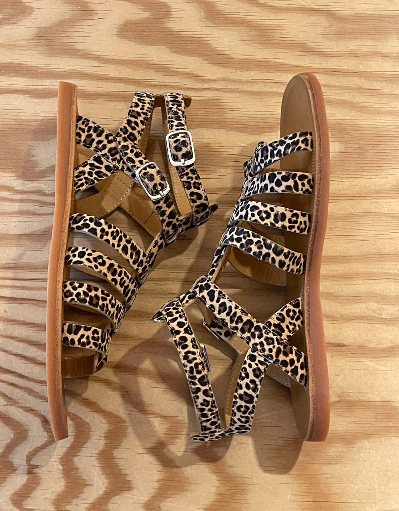POM D'API POM D'API PLAGETTE GLADIATOR MINI LEO SAHARA