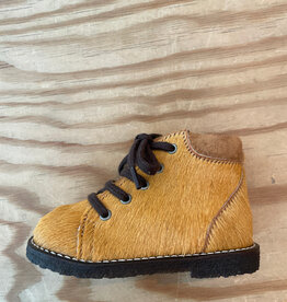 ANGULUS ANGULUS CLASSIC LACE UP 4211 OCHER PONY