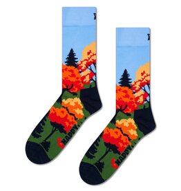 HAPPY SOCKS HAPPY SOCKS P003789 AUTUMN SOCKS