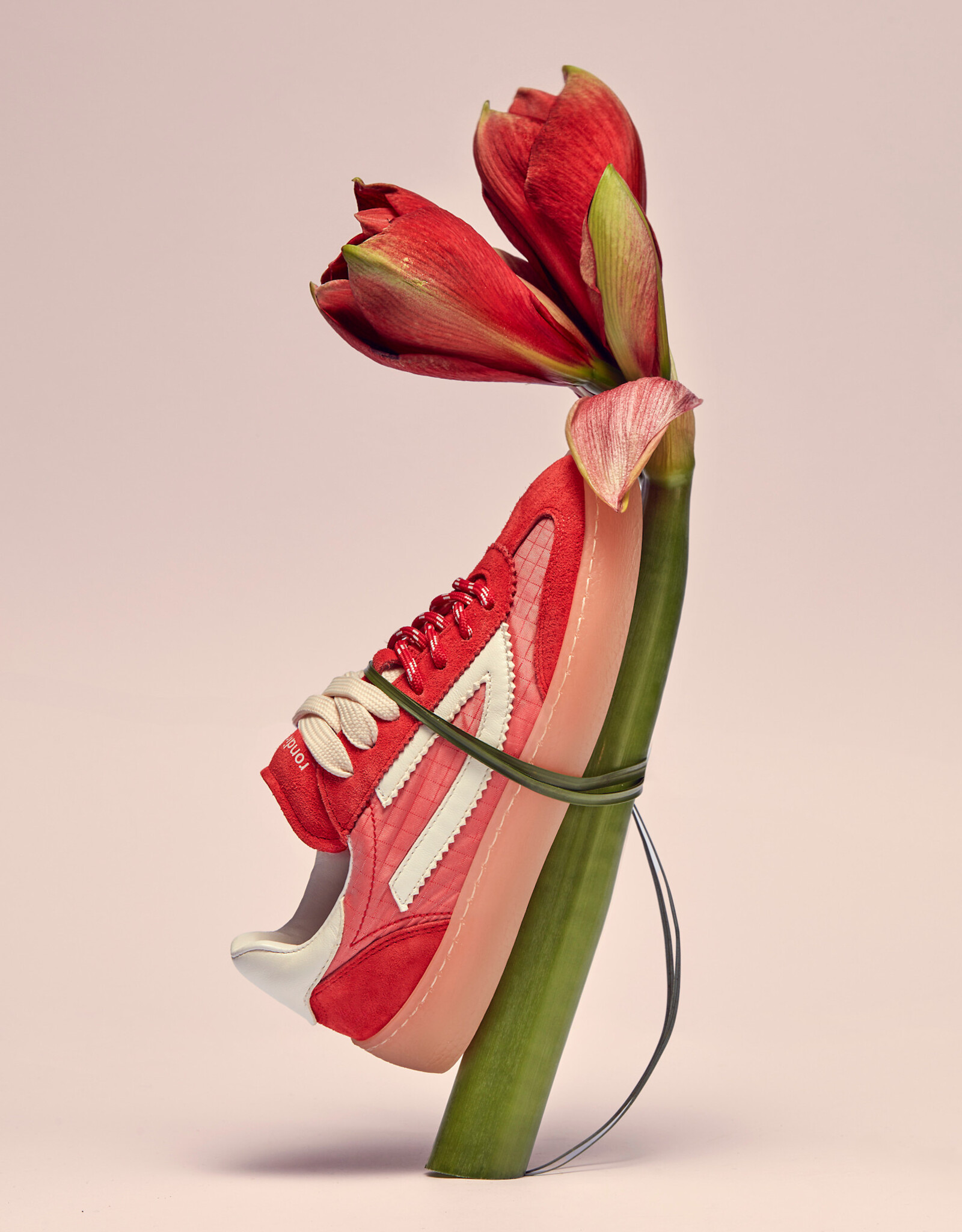 RONDINELLA RONDINELLA lederen sneakers RED