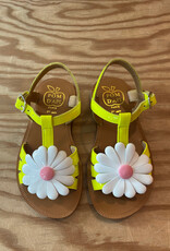 POM D'API POM D'API PLAGETTE BIG FLO LIME