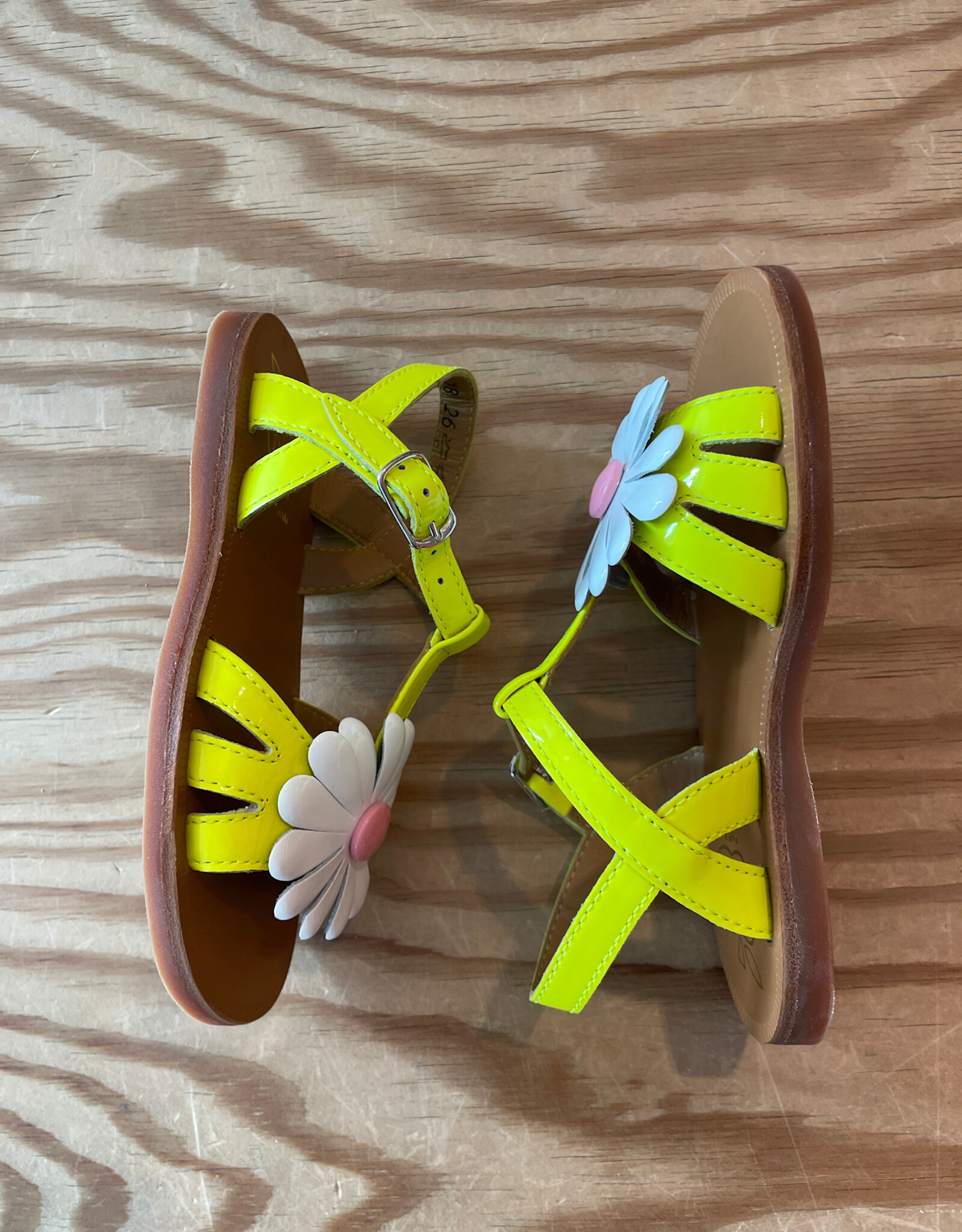 POM D'API POM D'API PLAGETTE BIG FLO LIME