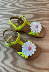 POM D'API POM D'API PLAGETTE BIG FLO LIME 31