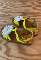 POM D'API POM D'API PLAGETTE BIG FLO LIME