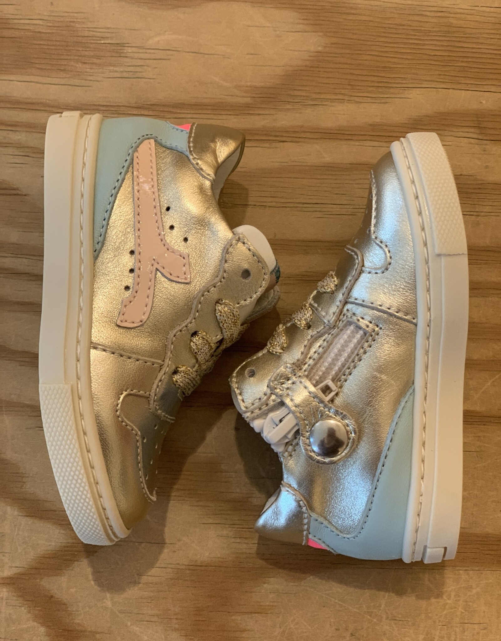 RONDINELLA RONDINELLA 4749 6412 PLATI