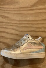 RONDINELLA RONDINELLA 4749 6412 PLATI