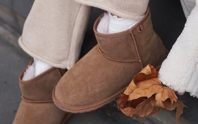 FW2627