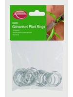 Ambassador Ambassador Galvanised Plant Rings
