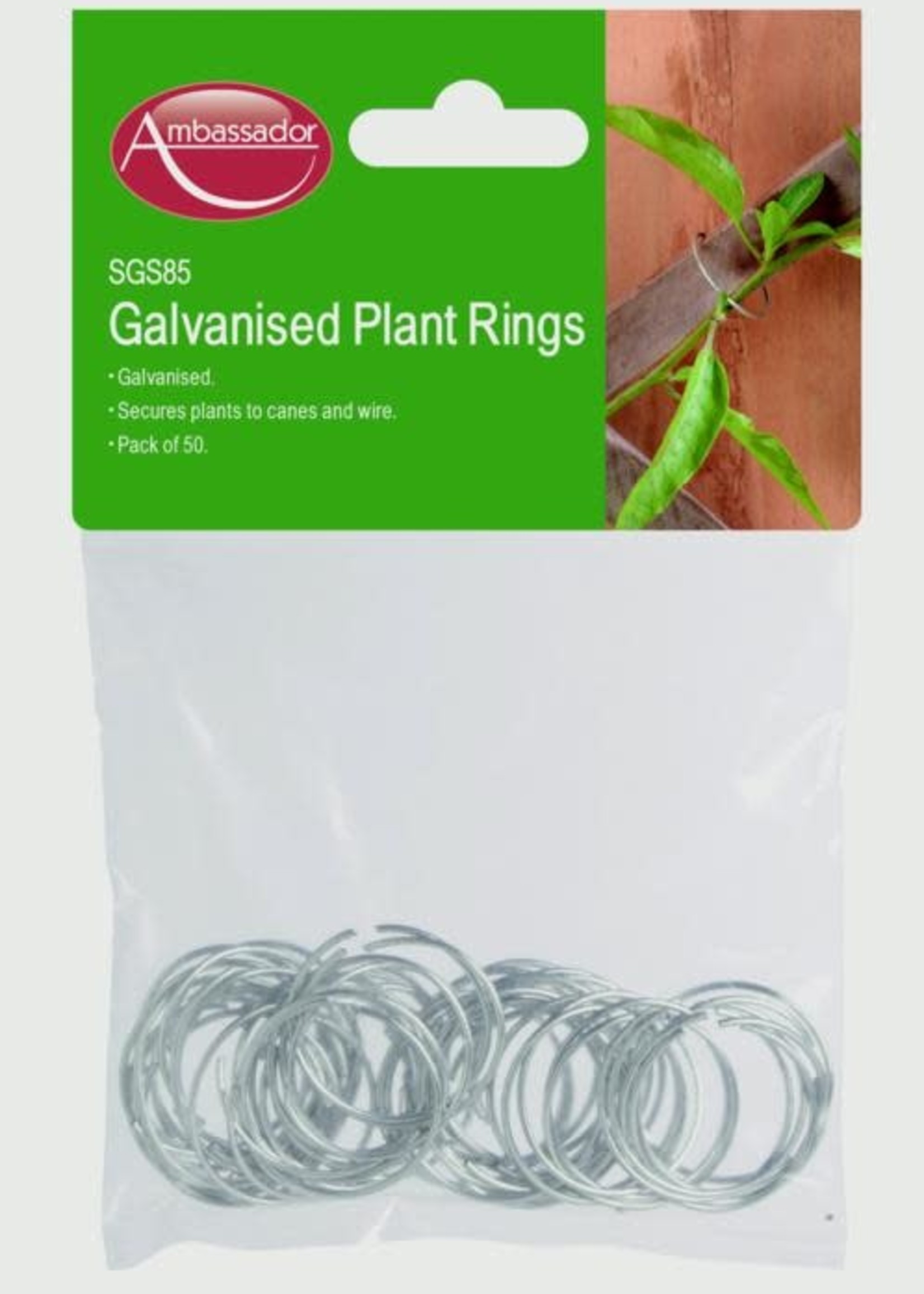 Ambassador Ambassador Galvanised Plant Rings