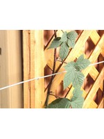 Ambassador Ambassador Galvanised Wire 1.2mm x 30m