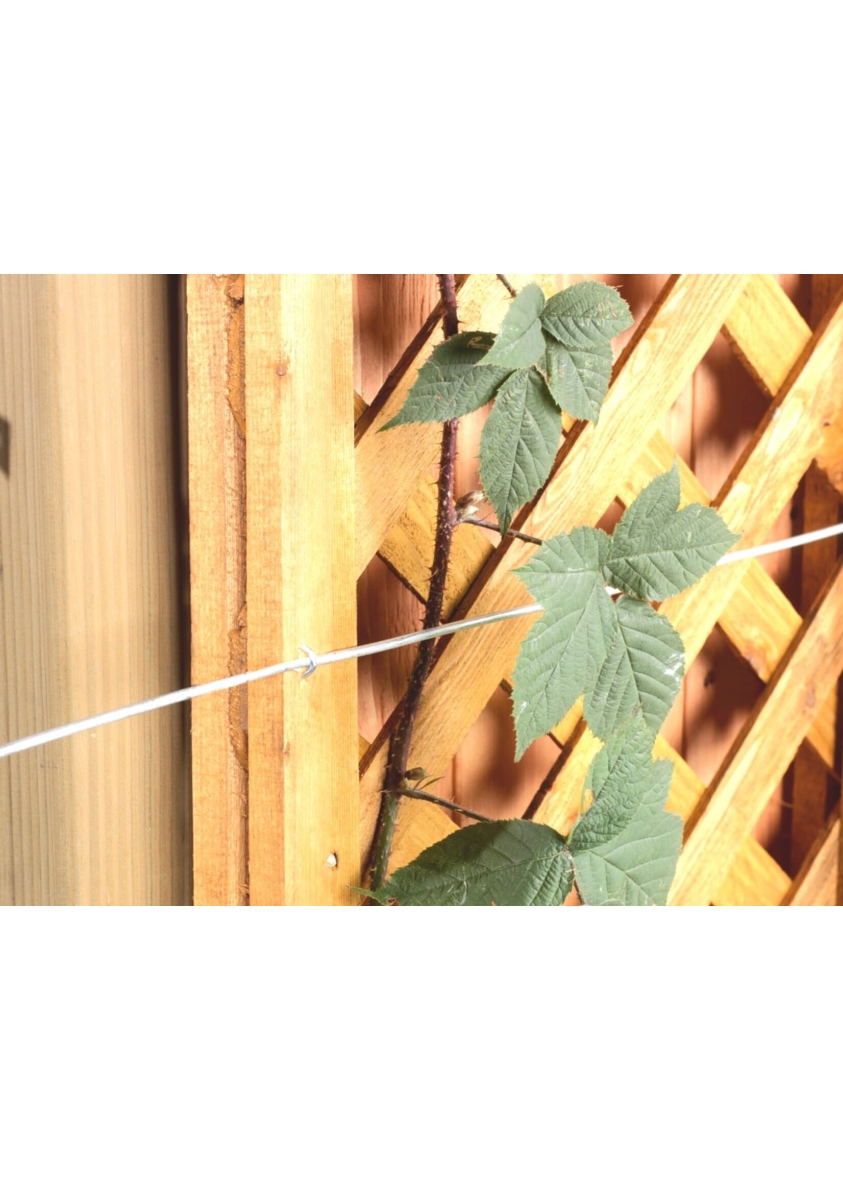 Ambassador Ambassador Galvanised Wire 1.2mm x 30m