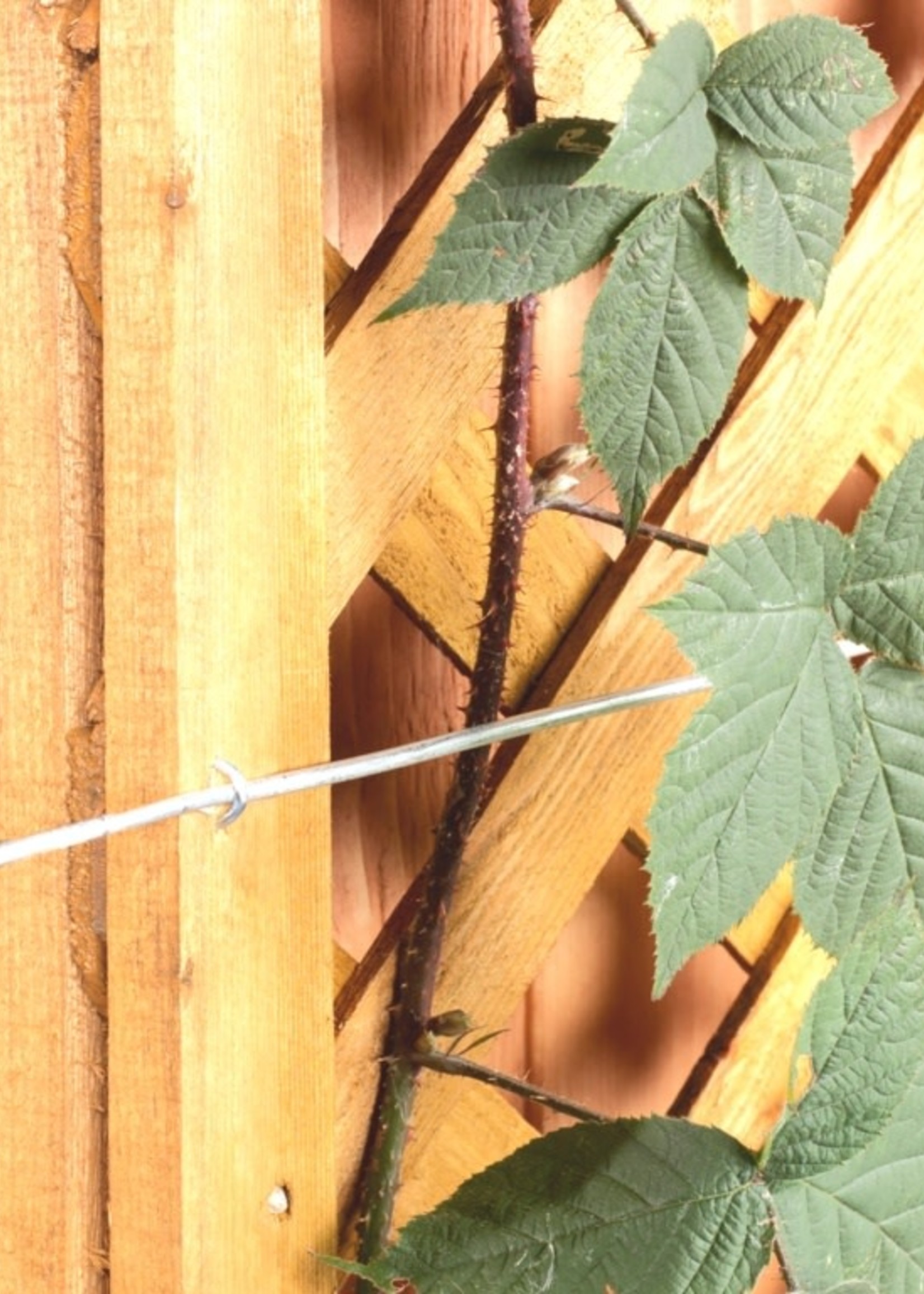 Ambassador Ambassador Galvanised Wire 3mm x 20m