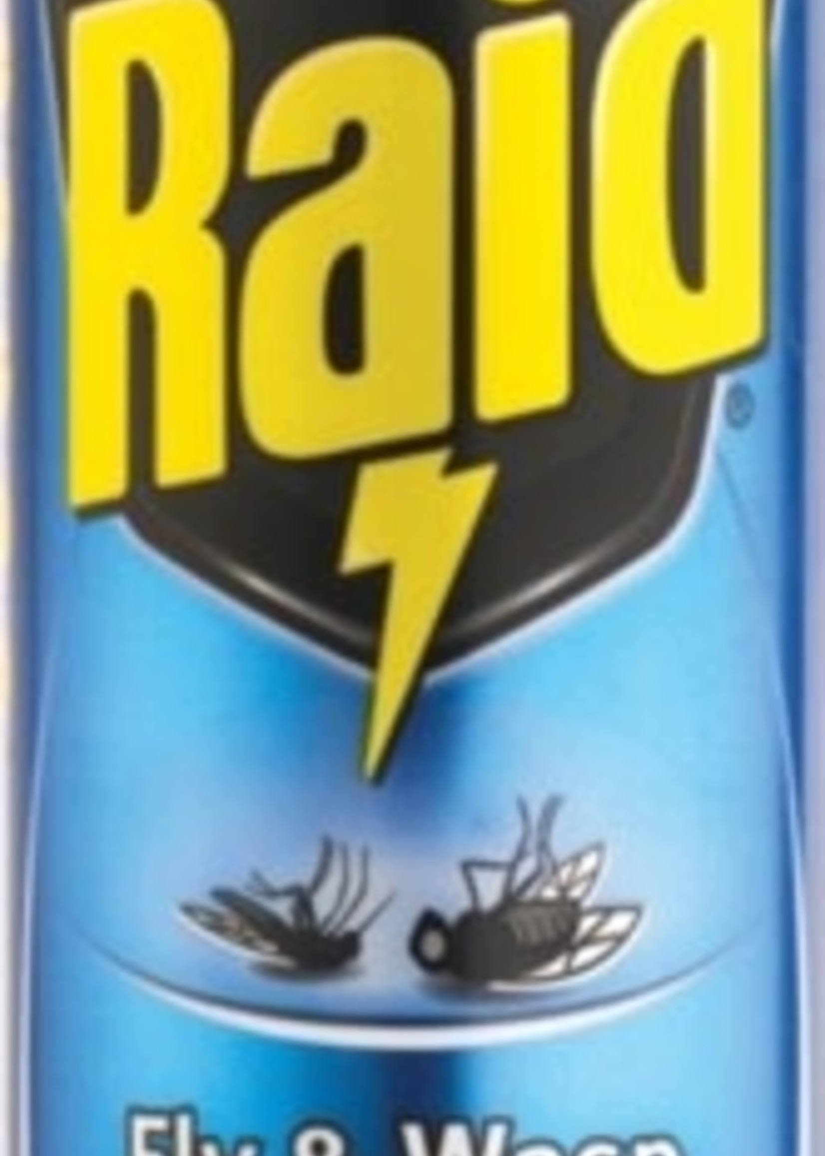 Raid Raid Fly & Wasp Killer 300ml