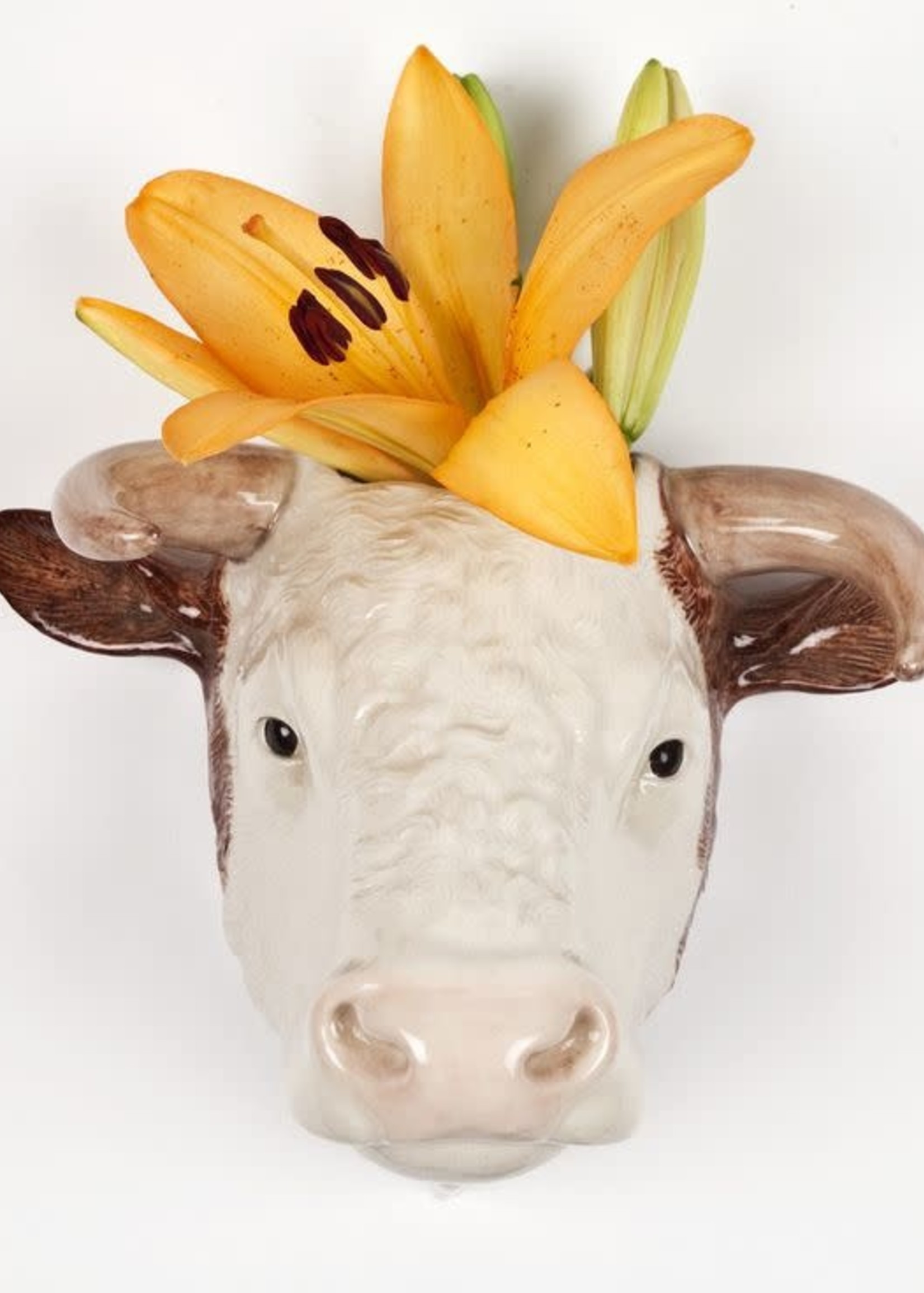 Quail Hereford Bull Wall Vase