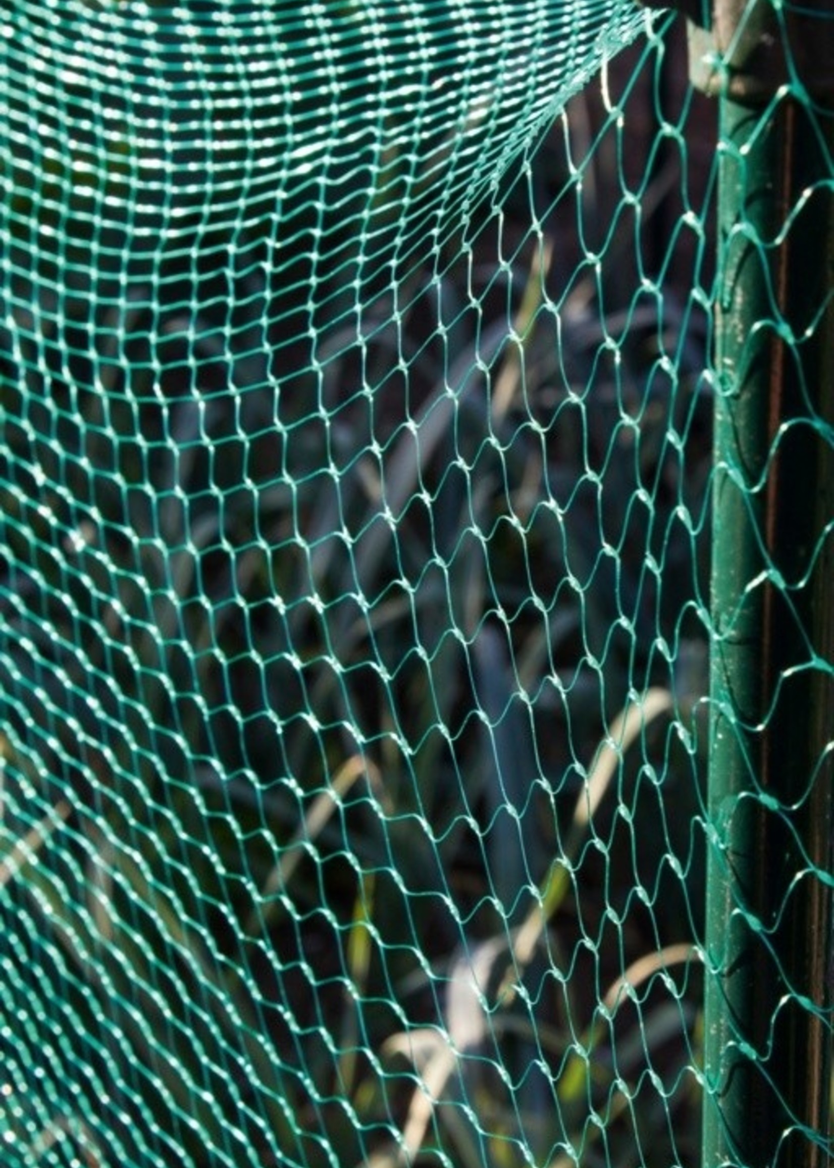 Garden Net 3 x 2m