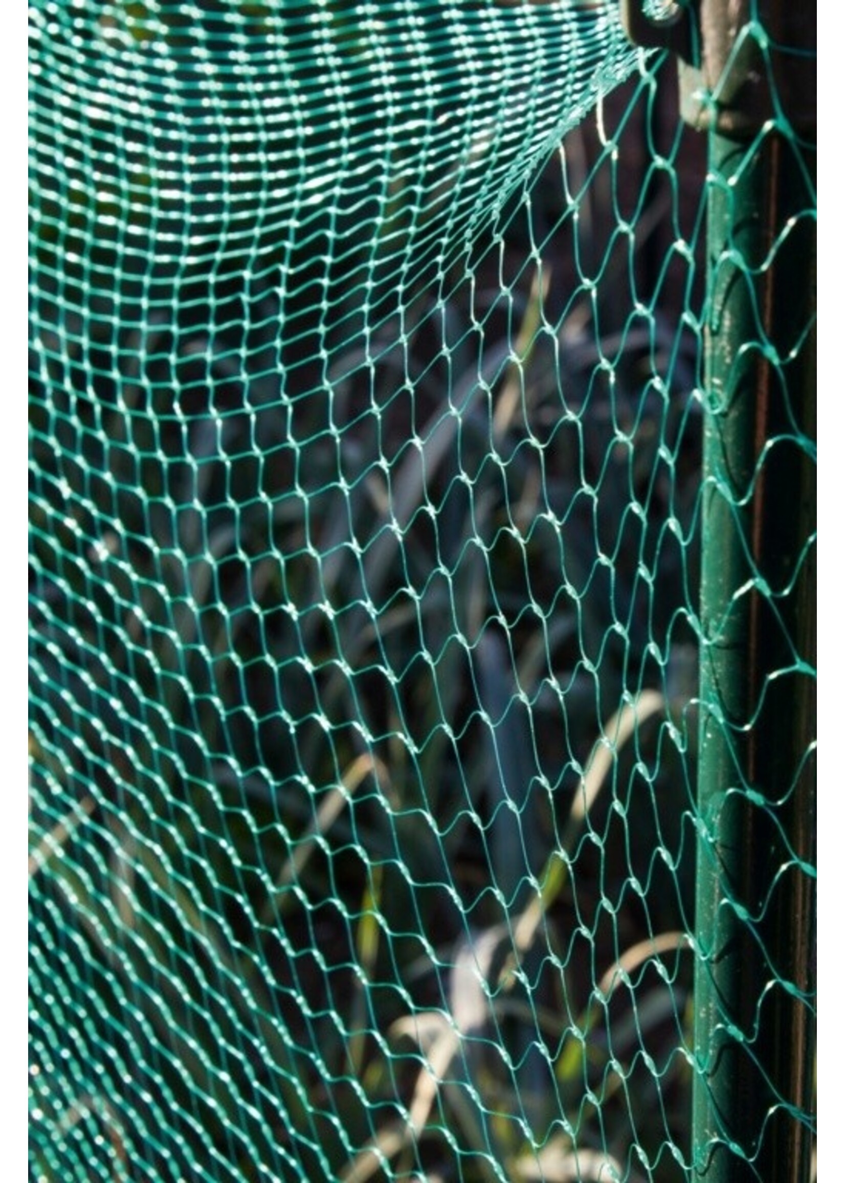 Garden Net 3m x 2m