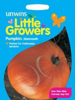 Unwins Little Growers - Pumpkin