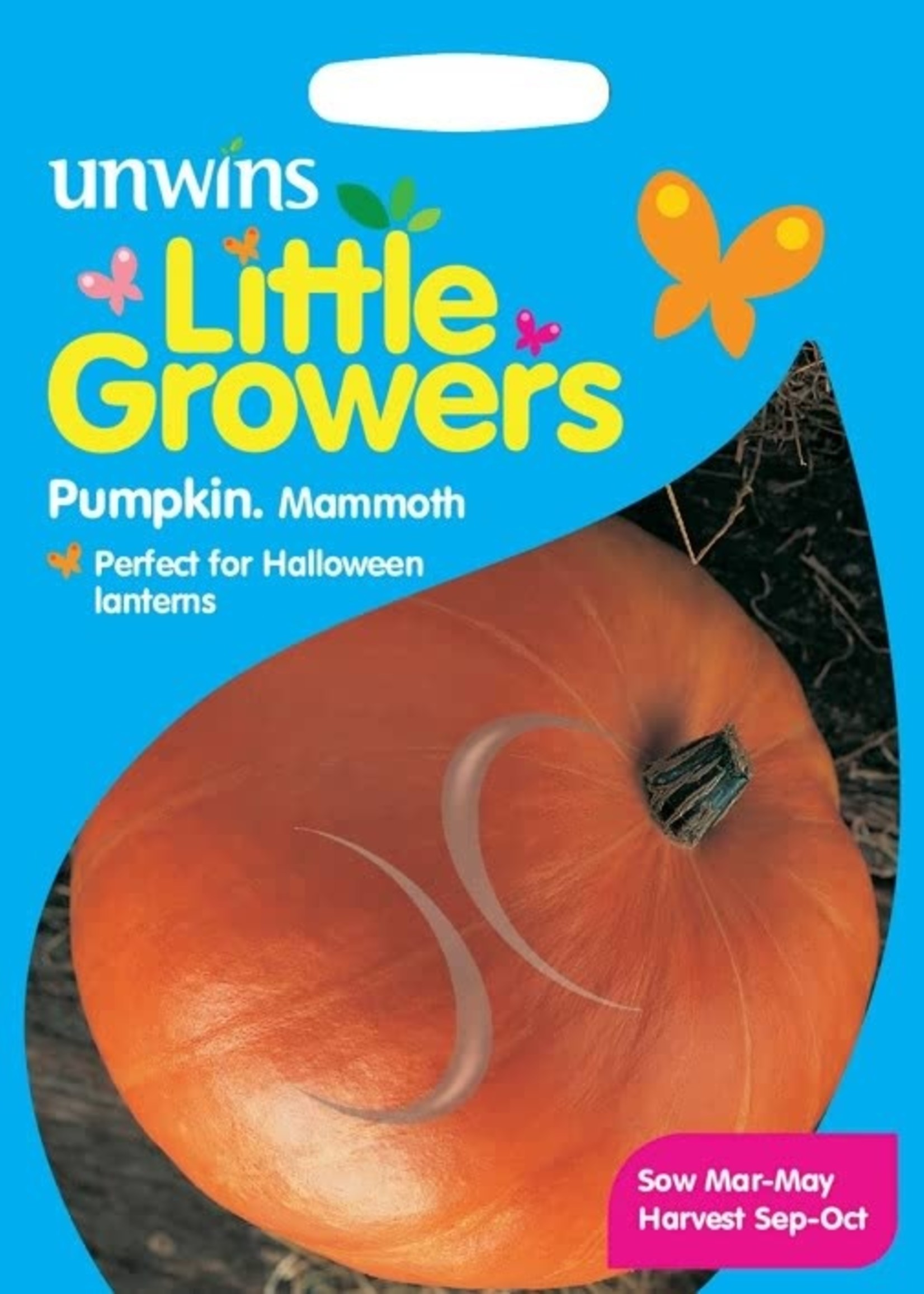 Unwins Little Growers - Pumpkin