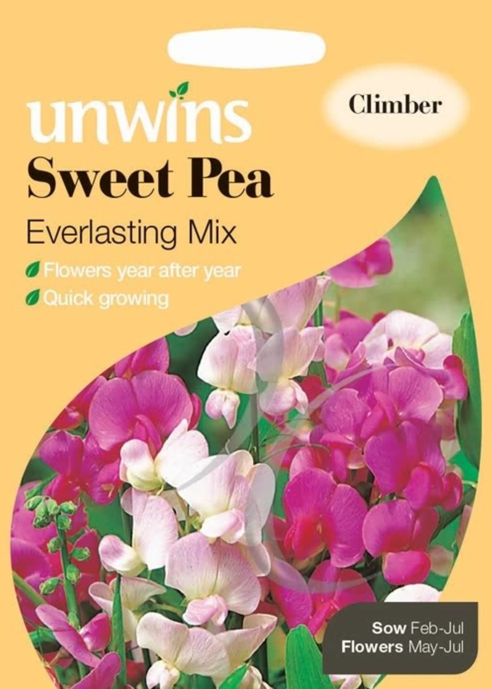 Unwins Sweet Pea - Everlasting mixed