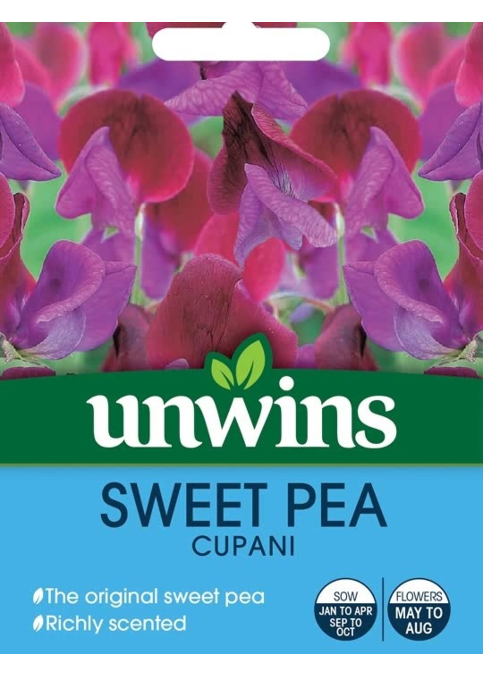 Unwins Sweet Pea - Cupani