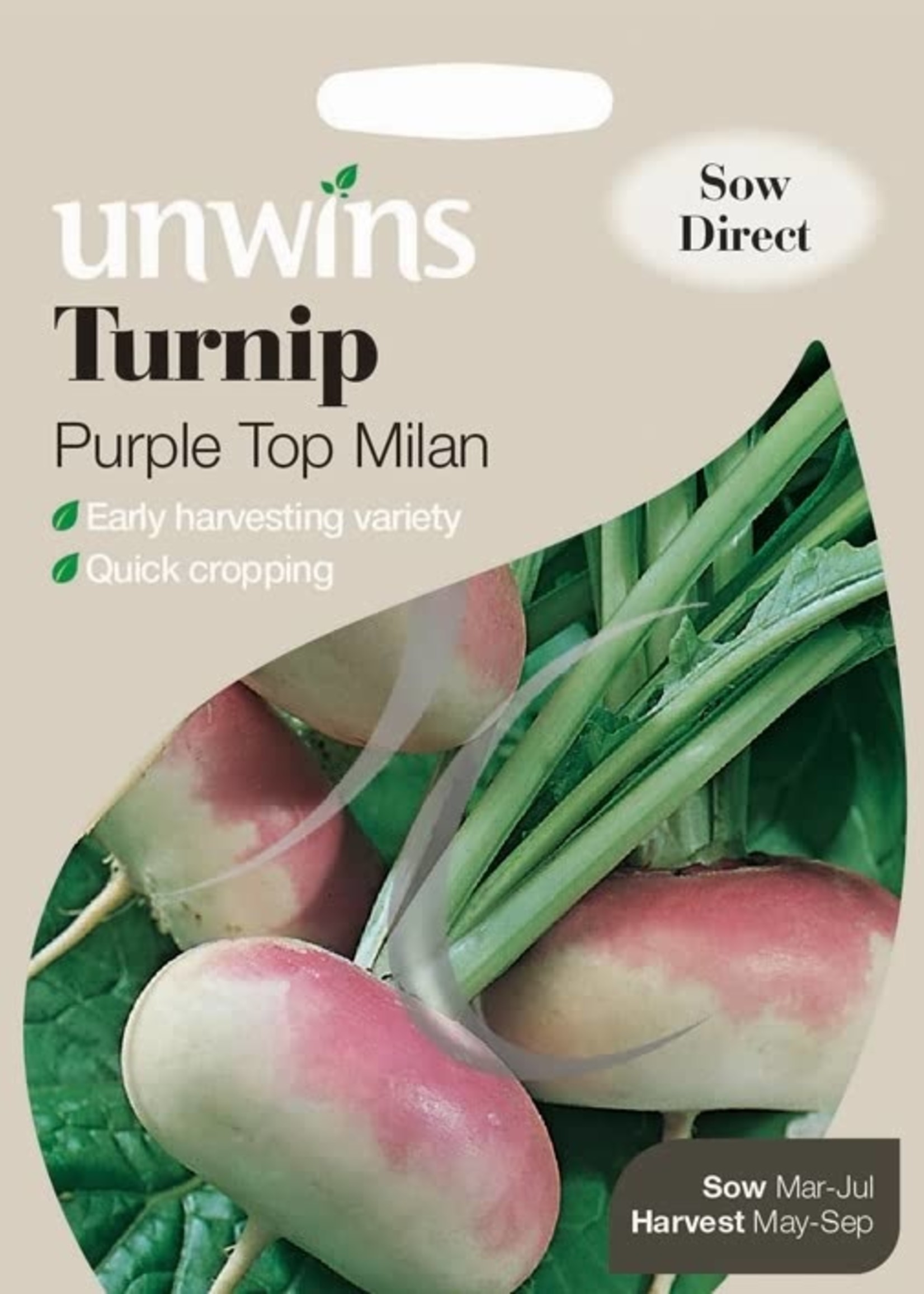 Unwins Turnip - Purple Top Milan