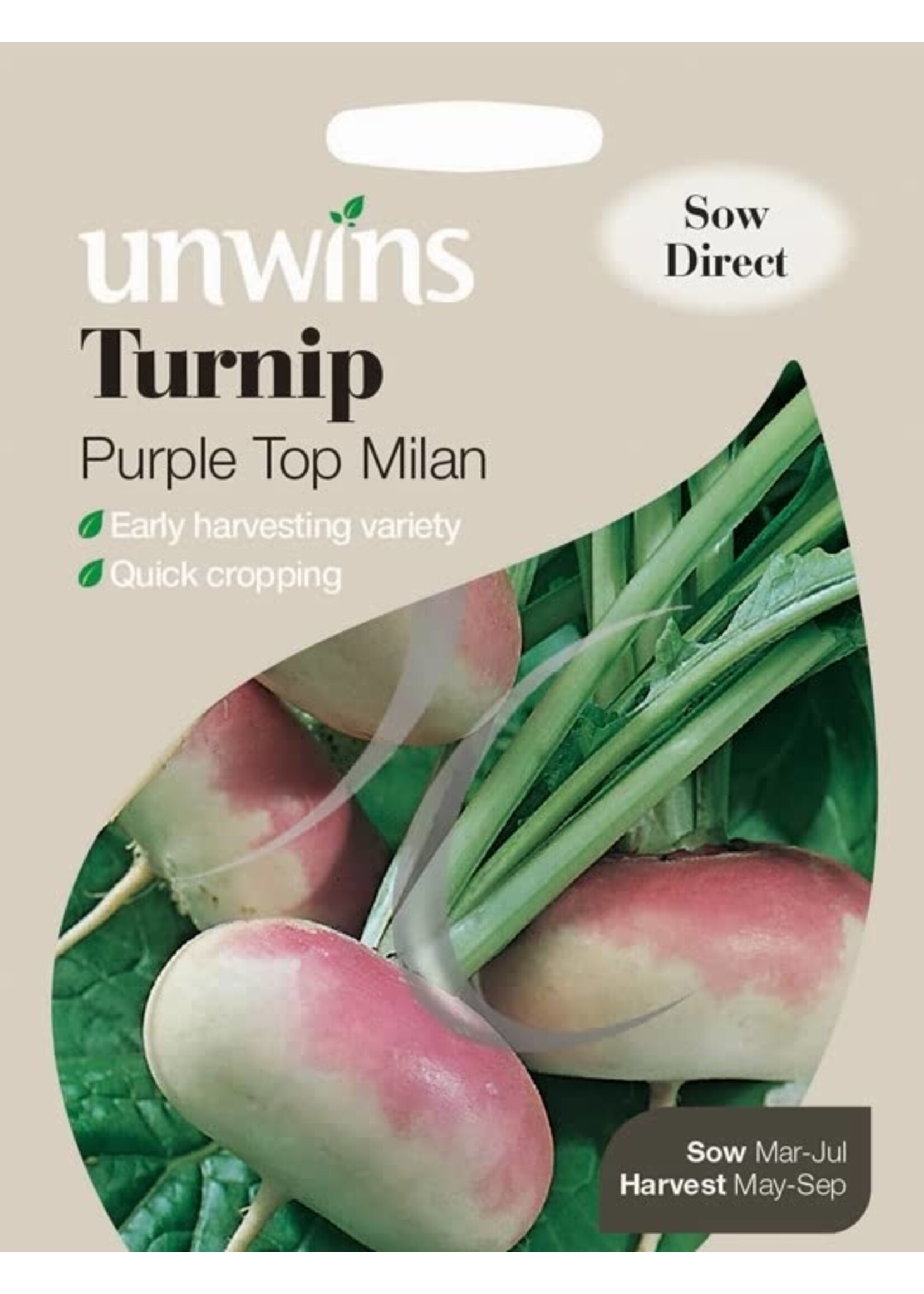 Unwins Turnip - Purple Top Milan