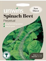 Unwins Spinach Beet - Perpetual