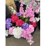 Faux Plants and Flowers