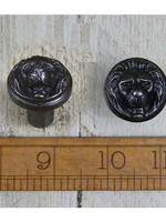 Lion face knobs