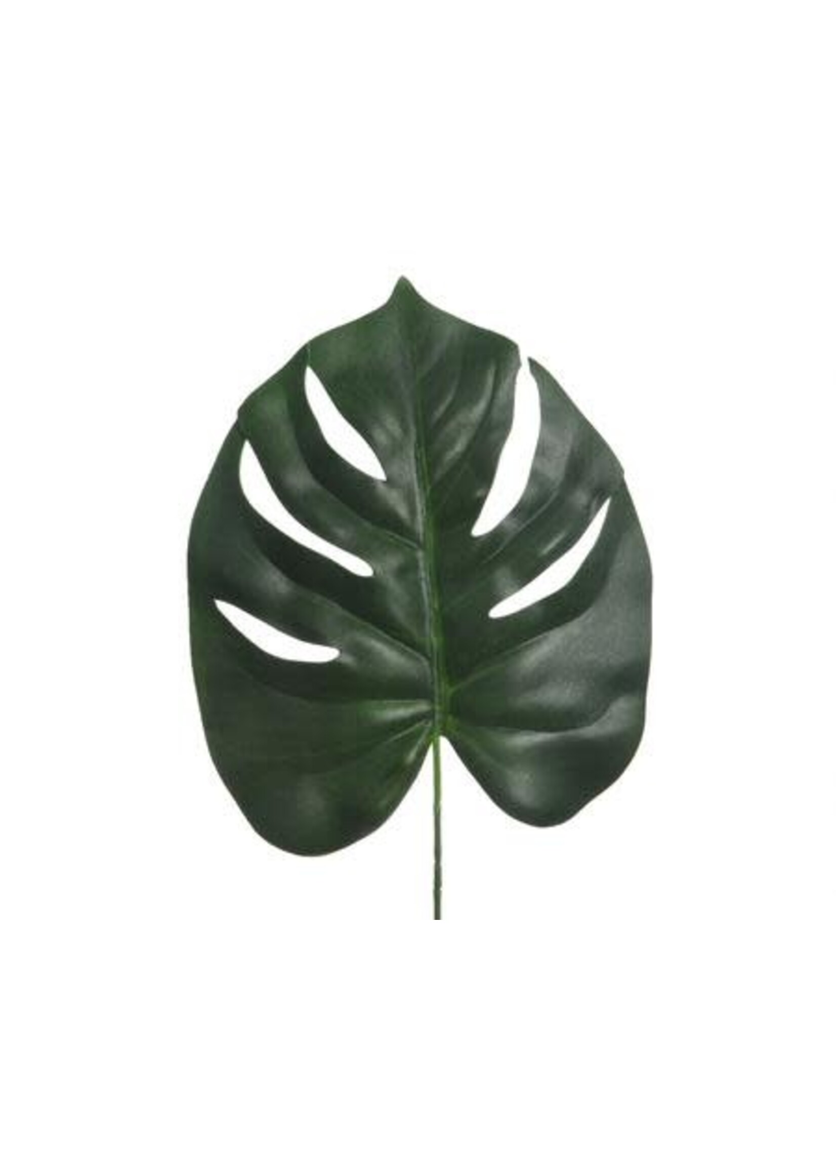 KaemingkS9 Cheese Plant Leaf