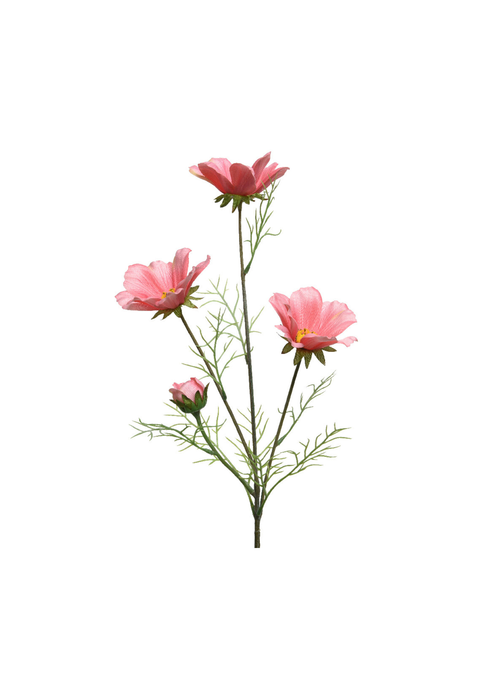 KaemingkS9 Coreopsis Pink