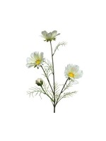 KaemingkS9 Coreopsis White