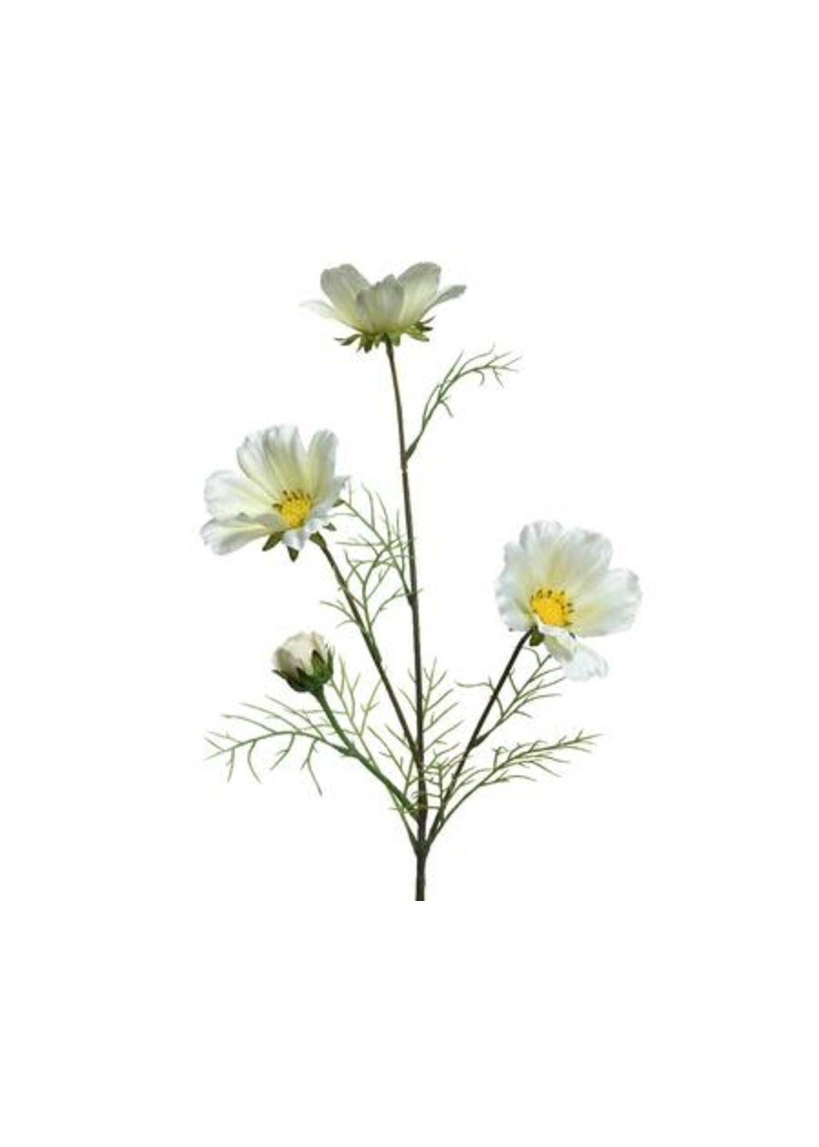 KaemingkS9 Coreopsis White