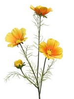 KaemingkS9 Coreopsis Yellow