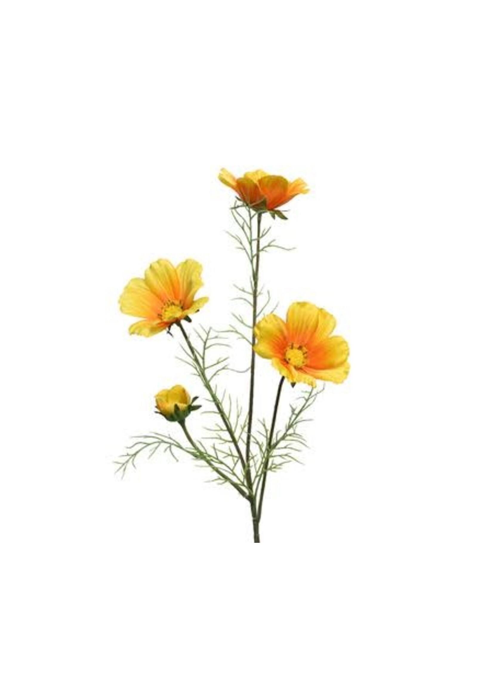 KaemingkS9 Coreopsis Yellow