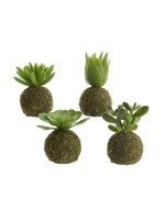 Kaemingk Moss Ball Succulent
