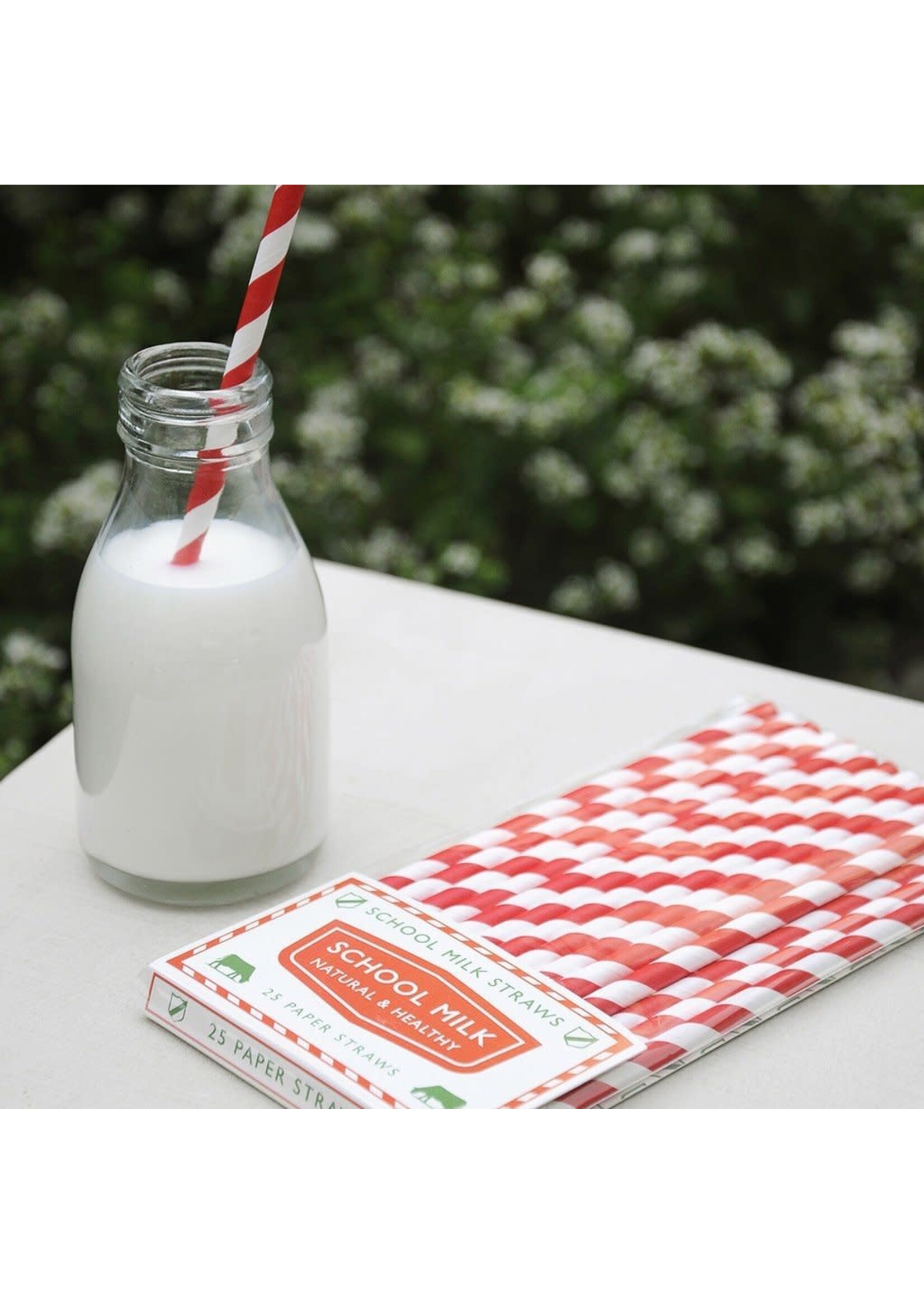 Rex Red and White Straws