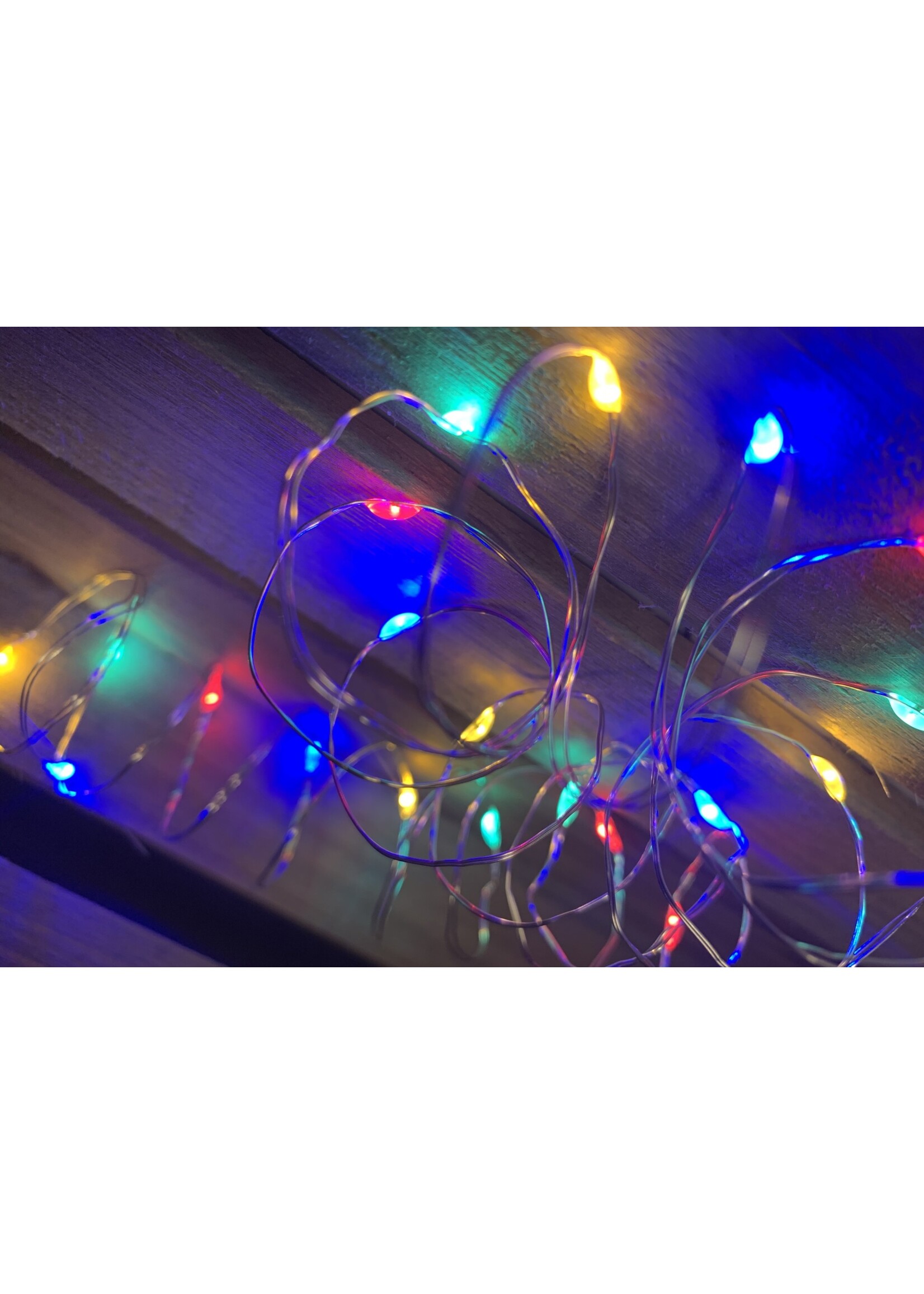 Snowtime Micro Lights