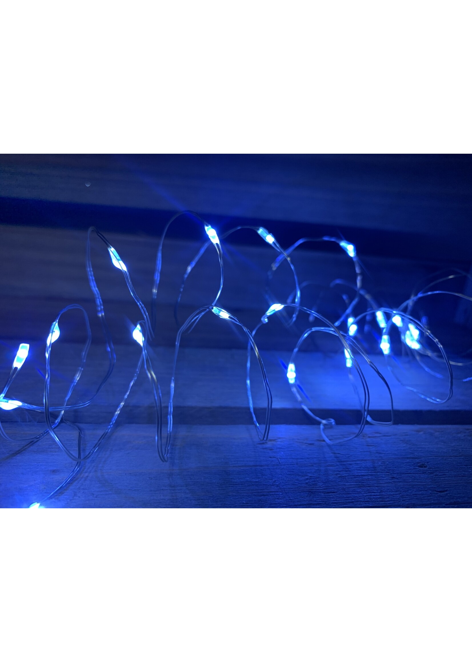 Snowtime Micro Lights