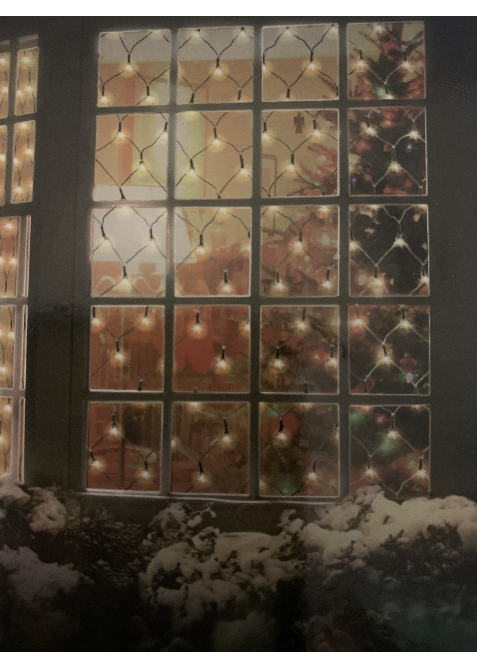 Premier Net Lights - Multi-Action Indoor & Outdoor