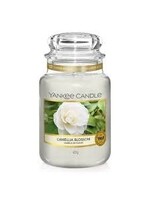 Yankee Yankee Camellia Blossom Candle Large Jar