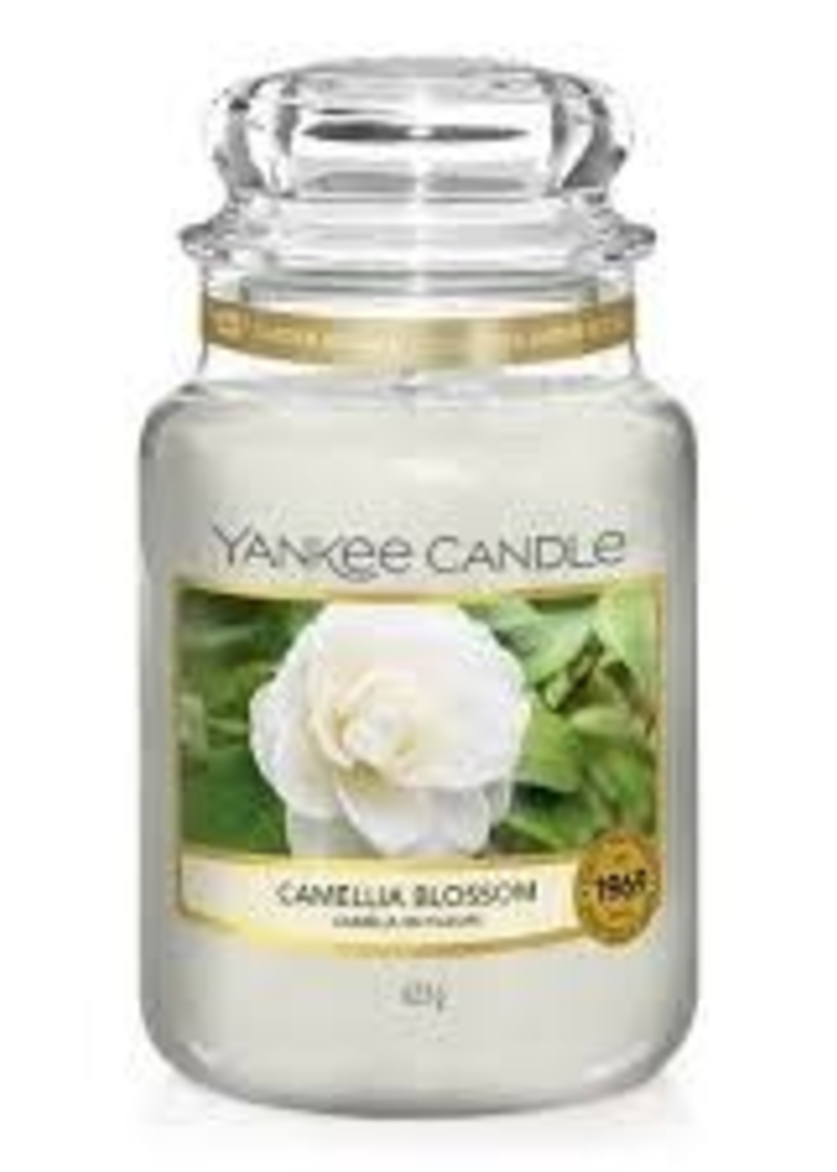 Yankee Yankee Camellia Blossom Candle Large Jar