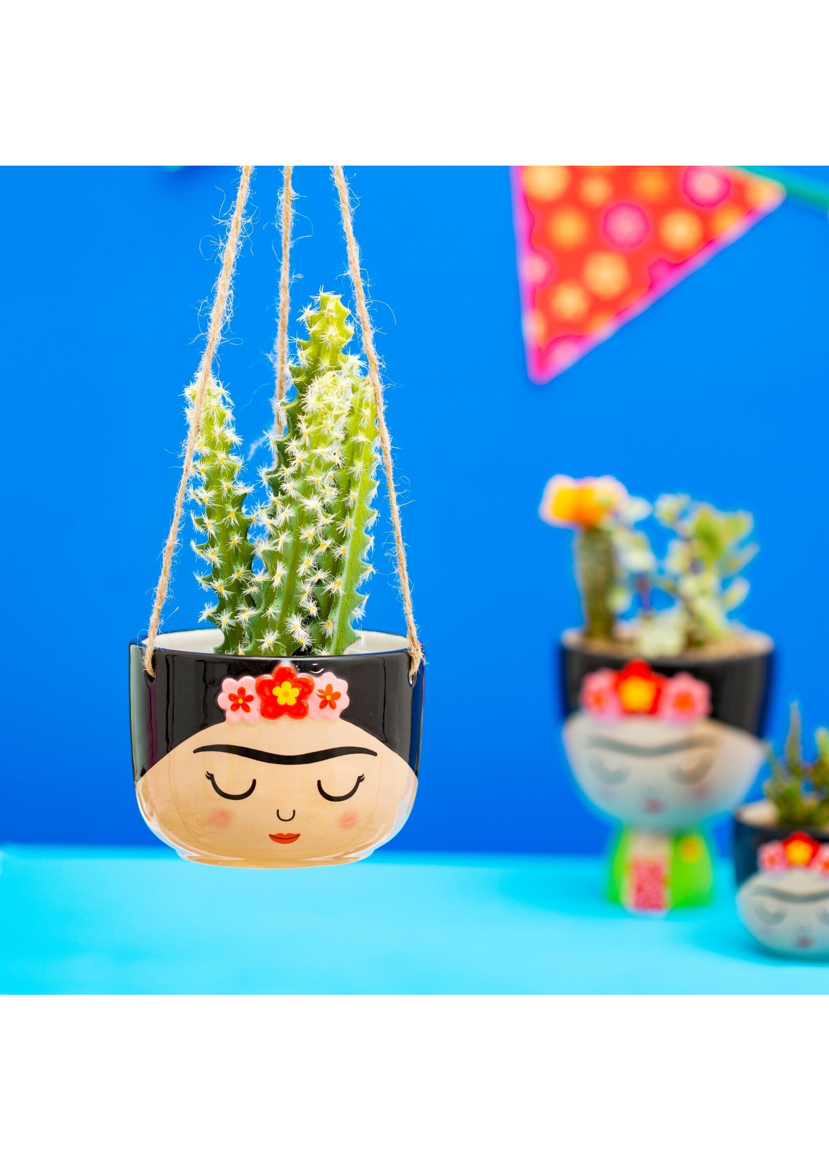 Sass & Belle Frida Hanging Planter