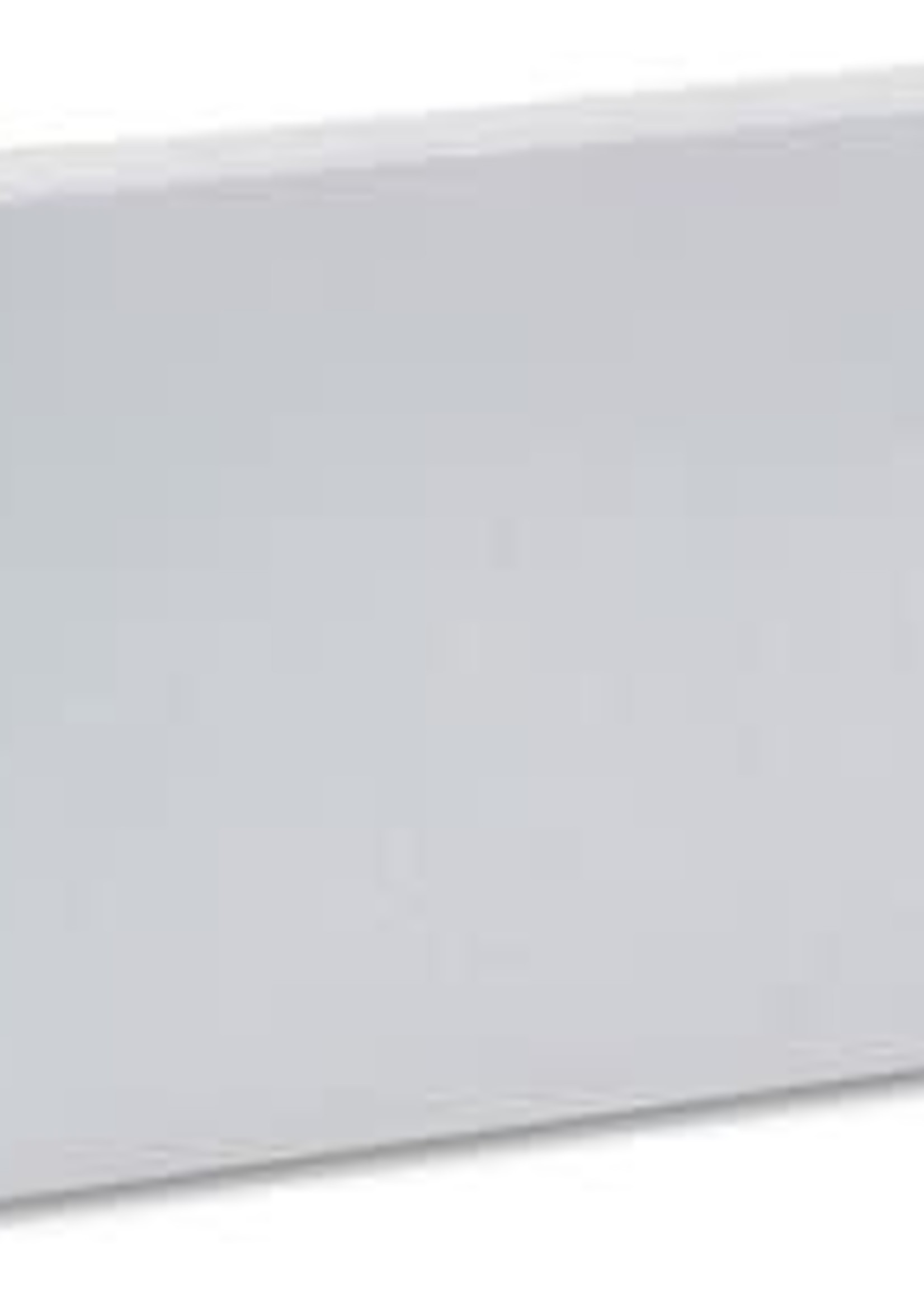 Securlec Securlec Blanking Plate White 2 Gang