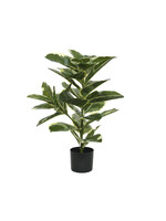 Plant In a Pot 76 cm