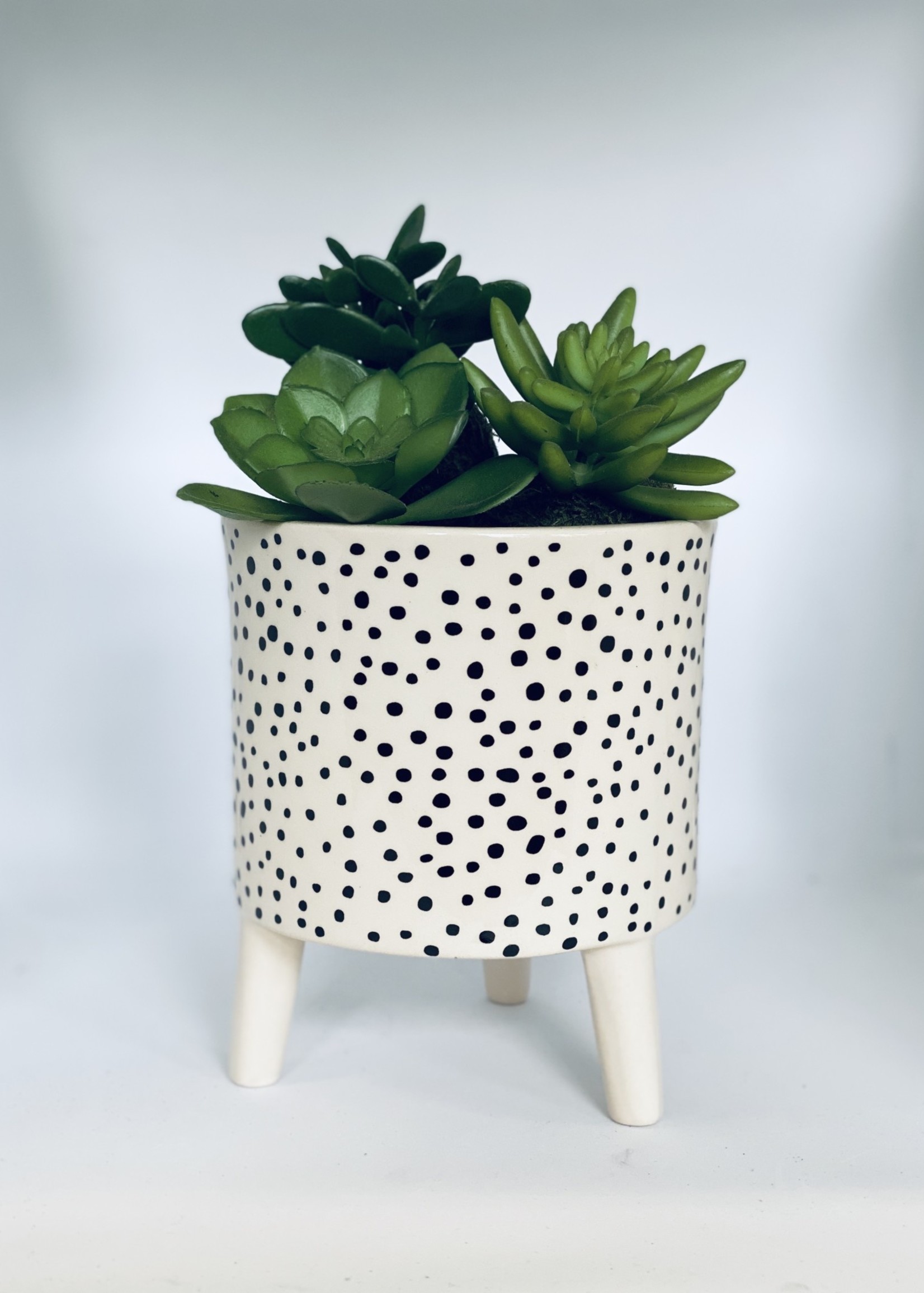 Decoris Planter On Legs, Spots and Stripes