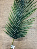 Fern Leaf