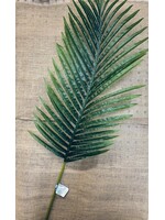 Fern Leaf
