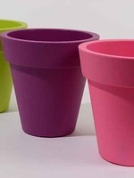 Bibelot Bee Large Double Walled Plastic Planter assorted colours