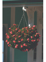 Ambassador Ambassador Swivel Hooks Pack 2